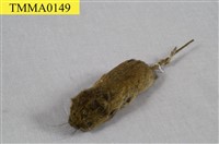 藏品(臺灣高山田鼠)的圖片